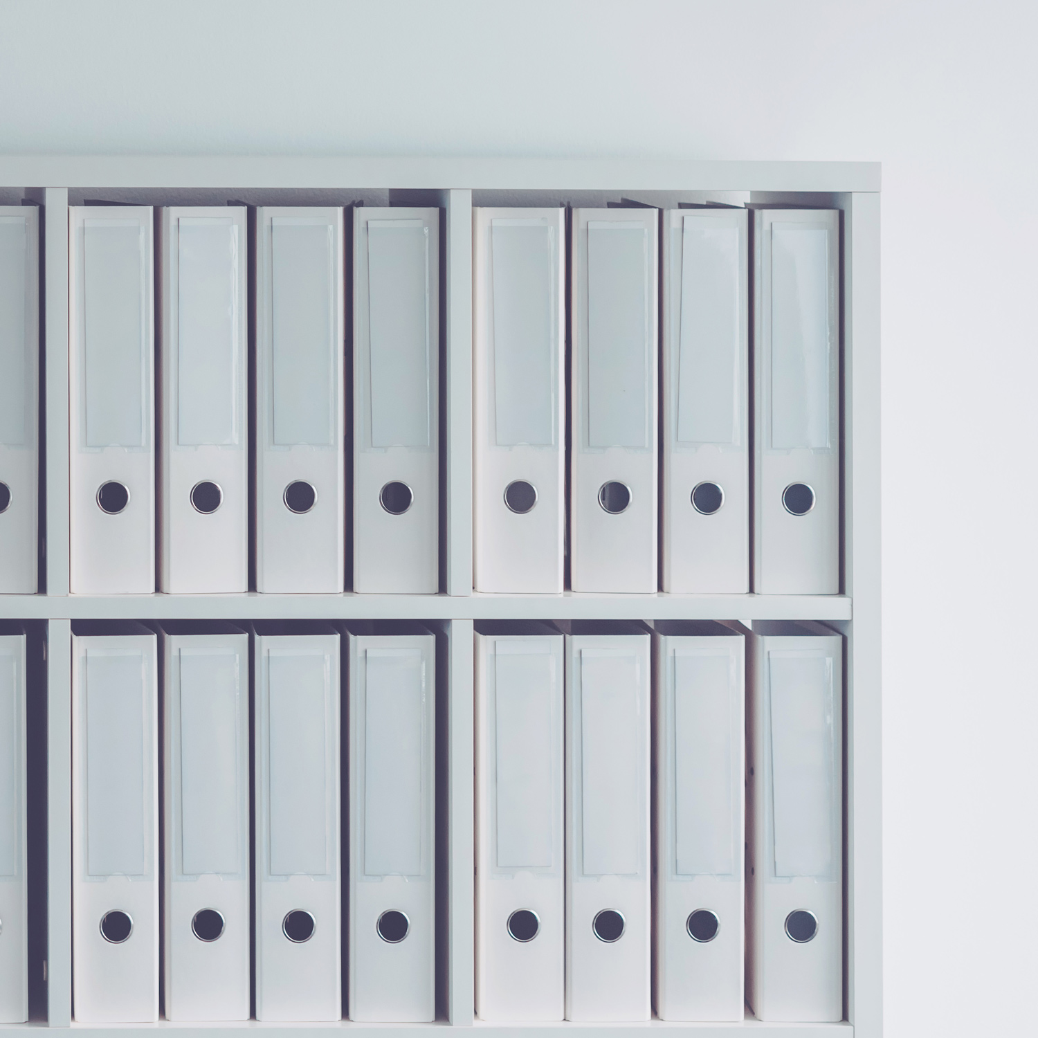 Raccoglitori-Valsecchi